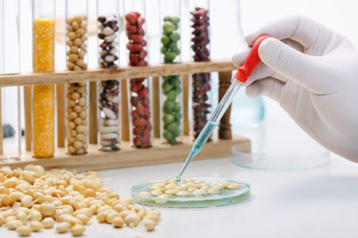 Living With A Compromised Food Chain