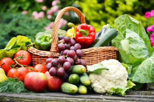 Managing Gastrointestinal Discomfort Through Diet