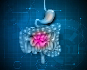 Probiotics for Irritable Bowels