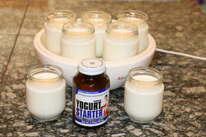 Make Your Own Easy & Delicious Yogurt with Natren’s Yogurt Starter