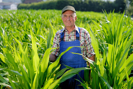 If Probiotics are so Good for us, Can They Benefit Plants too?