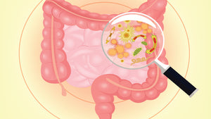 Warning! The Signs Of An Unhealthy Gut