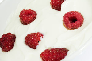 Four Fun Make-Ahead Yogurt Based Snacks for Back-to School!