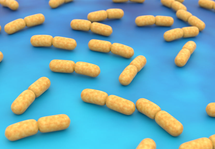 Natren’s Supernatant Advantage – What is a Supernatant?