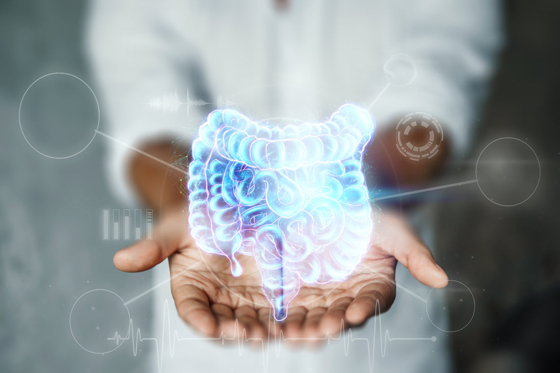 probiotics for GERD