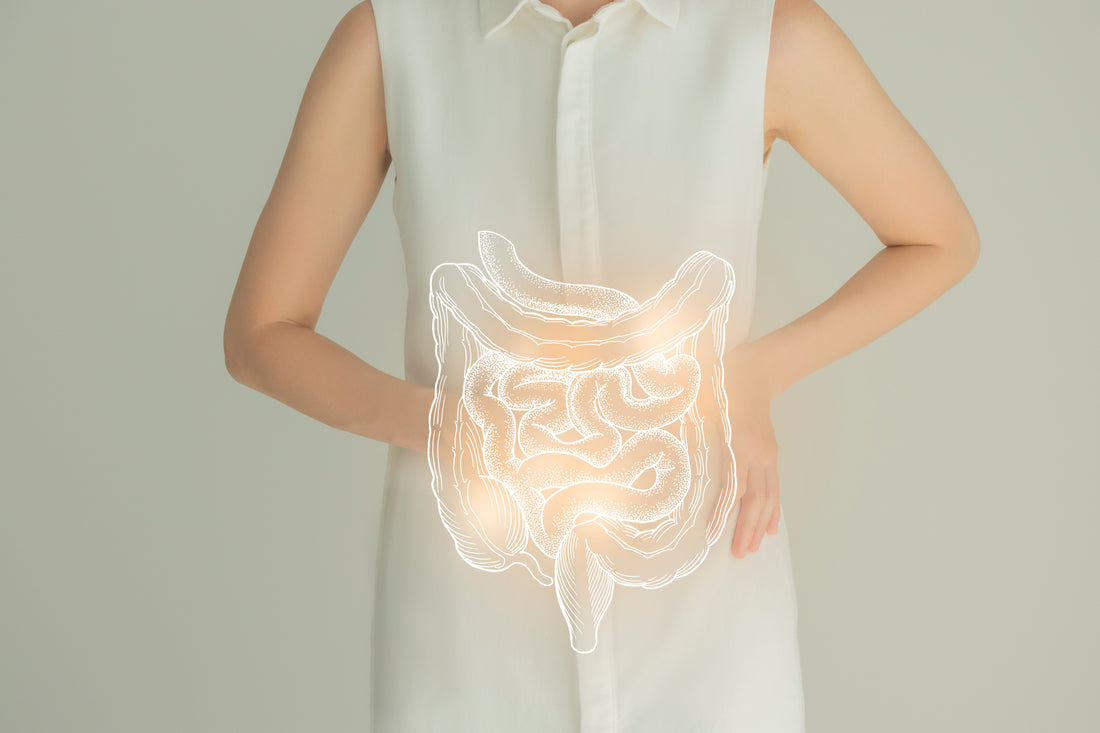 Gut Health