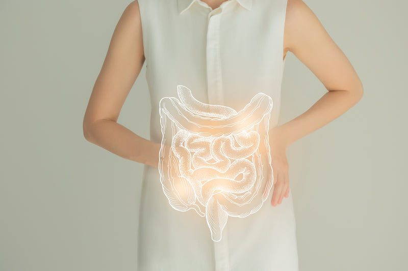 Gut Health
