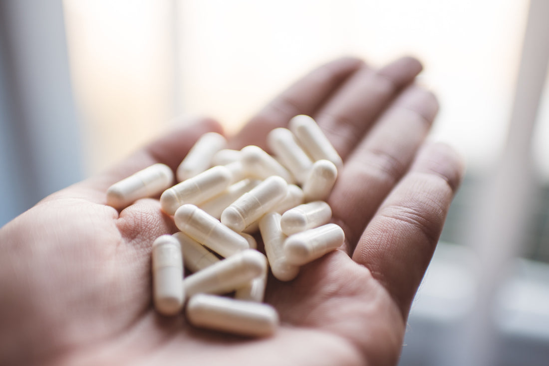 Probiotic Supplements for Seniors: Why Gut Health Matters as You Age