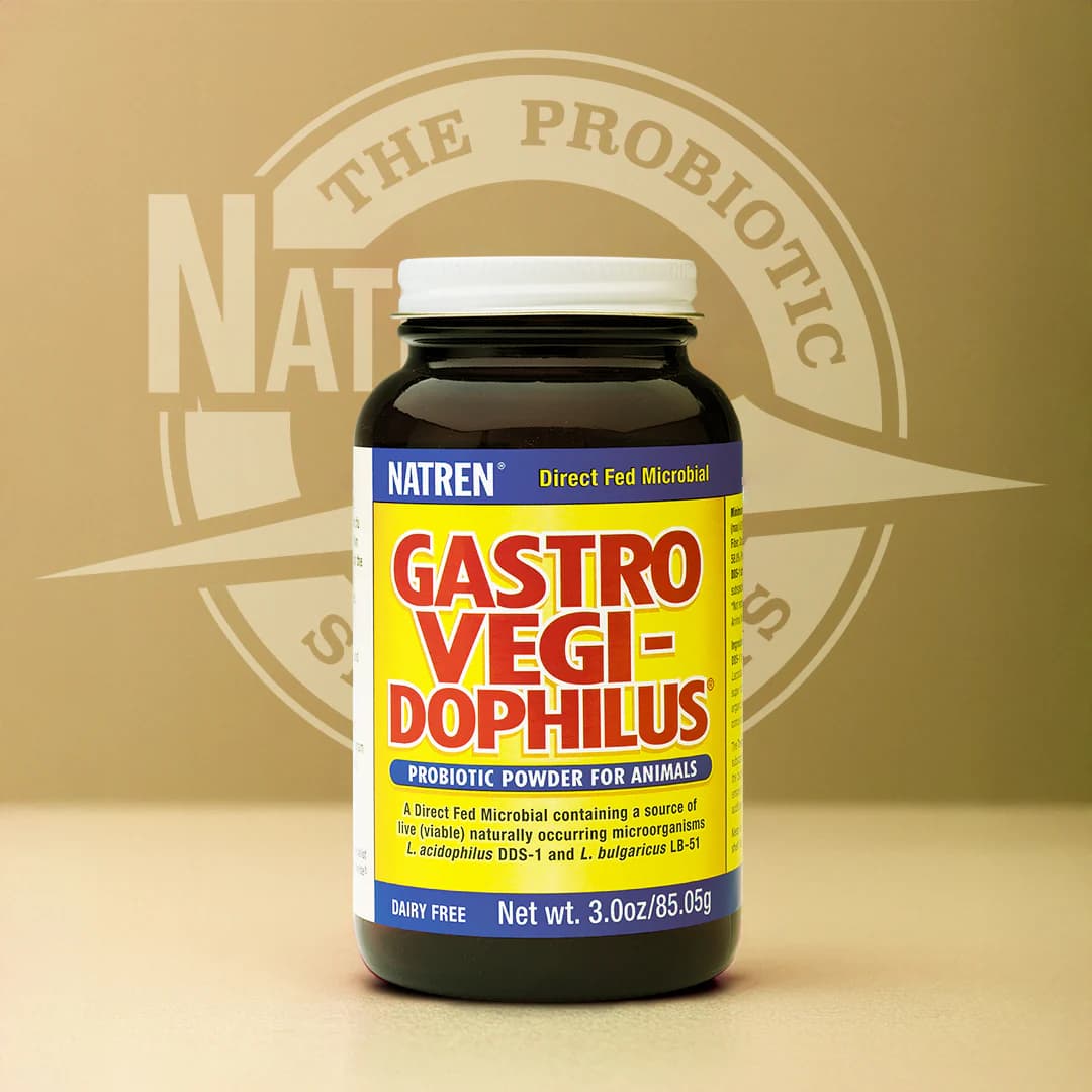 How to Introduce Probiotics to Your Pet’s Routine: Tips & Tricks