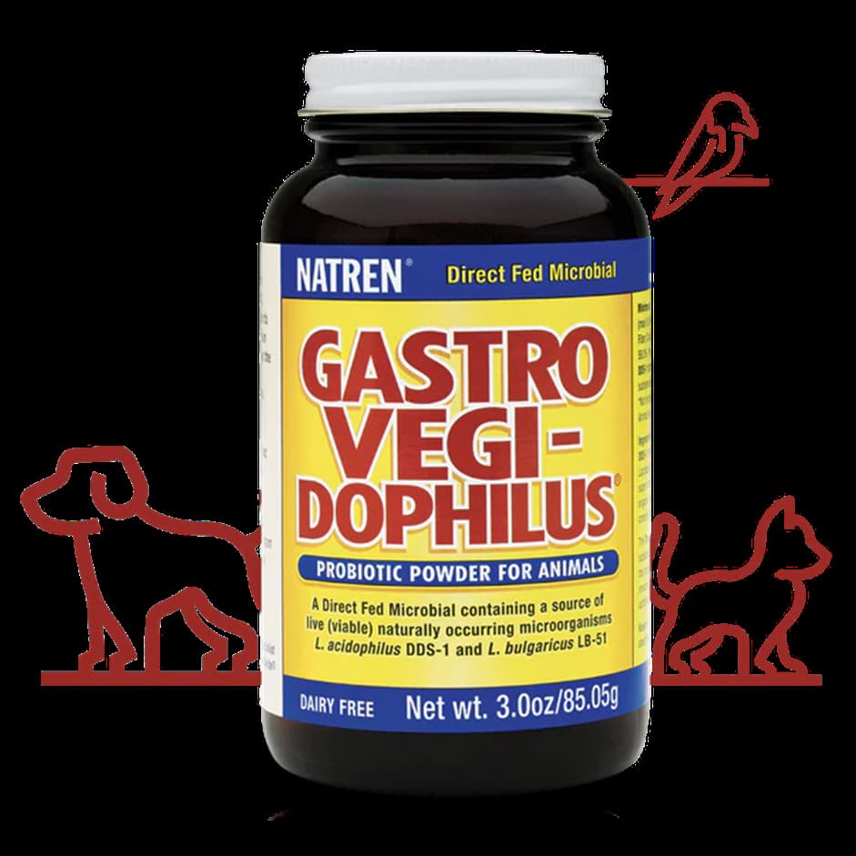 The #1 Mistake Dog Owners Make with Probiotics