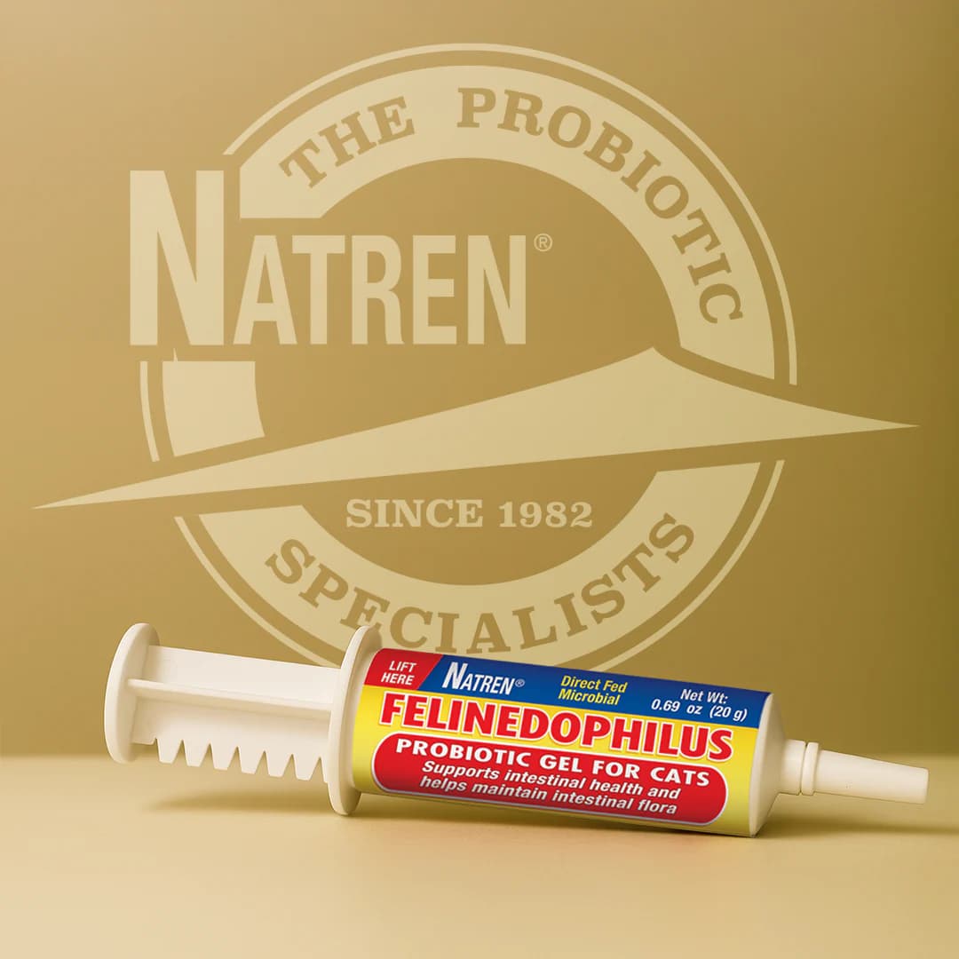 probiotics for pets
