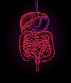 Taking Control of Irritable Bowel Issues