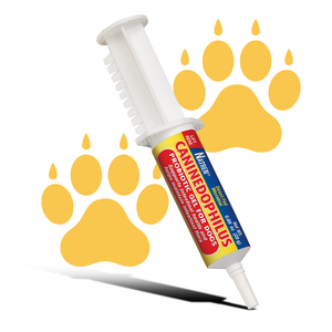 CANINEDOPHILUS - Probiotics For Dogs