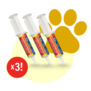 CANINEDOPHILUS - Probiotics For Dogs (Three Pack)