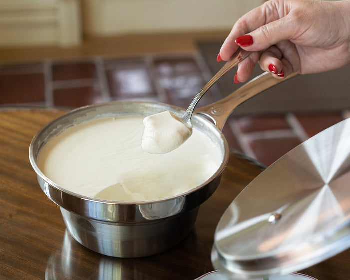 Natren probiotics highlighting scientific research and internationally recognised quality standards