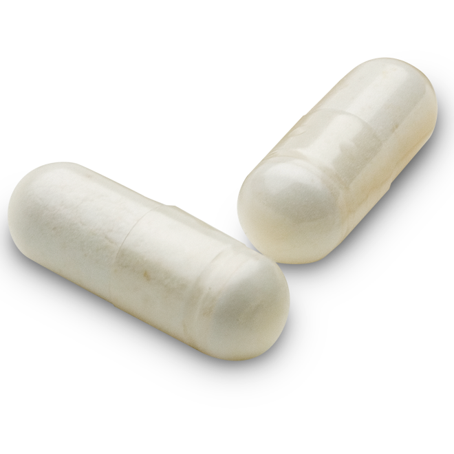 Megadophilus - Capsules